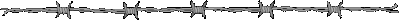 a horizontal divider depicting a segment of barbed wire
